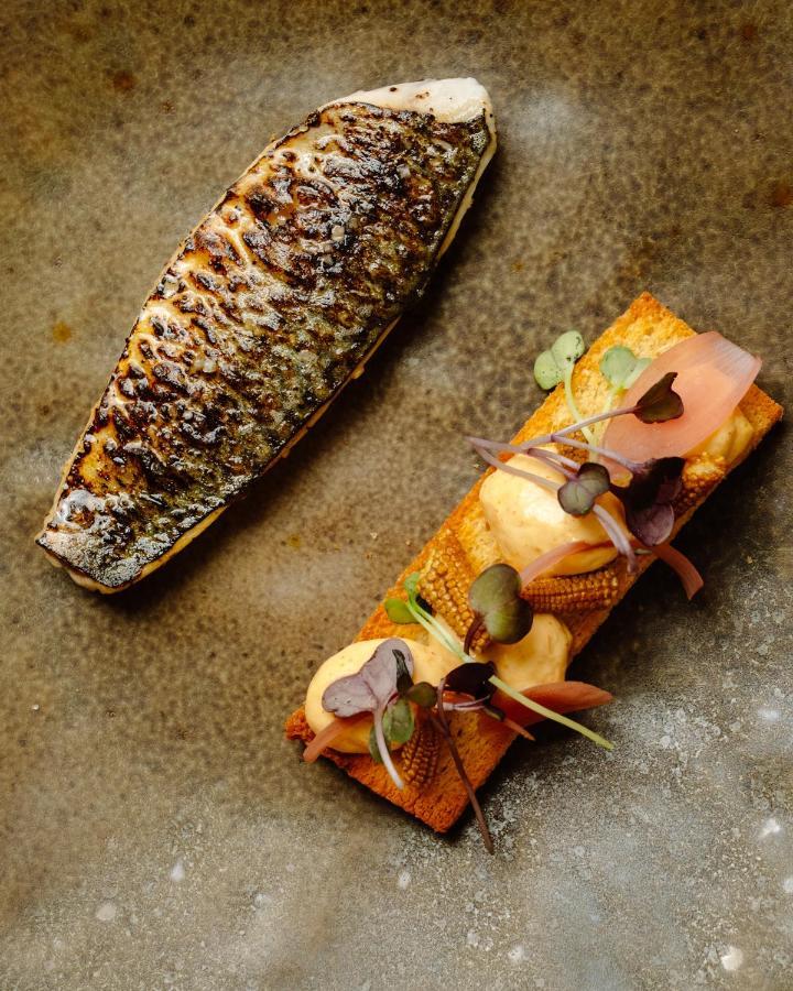 Hotel Maison Pavlov - Restaurant & Spa - Bordeaux Bouscat ル・ブスカ エクステリア 写真