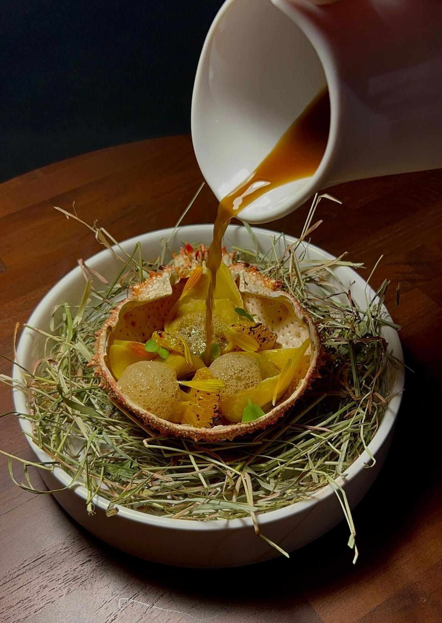 Hotel Maison Pavlov - Restaurant & Spa - Bordeaux Bouscat ル・ブスカ エクステリア 写真